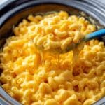 Slow Cooker Creamy Cheddar Mac and Cheese Recipe