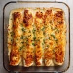 Cream Cheese Chicken Enchiladas Recipe
