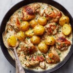Dutch Oven Creamy Ranch Chicken & Potatoes Recipe