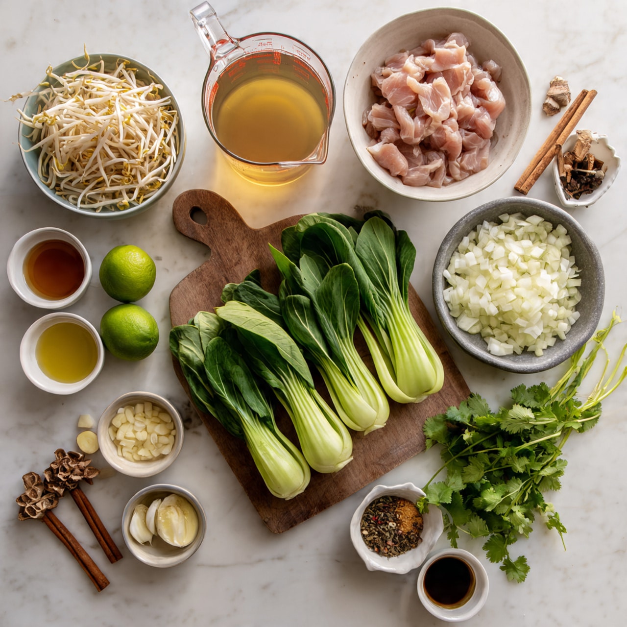 Ingredients for Tonyuu Zosui arranged on a white marbled surface: a bowl of cooked rice, a measuring cup with soy milk or broth, chopped onions, sliced garlic and ginger, small bowls with soy sauce and sesame oil, and fresh green onions.