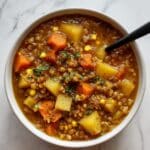 Crockpot Beef Soup Recipe