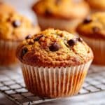 Best Pumpkin Chocolate Chip Muffins Recipe