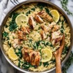 Lemon Chicken Orzo Pasta Recipe