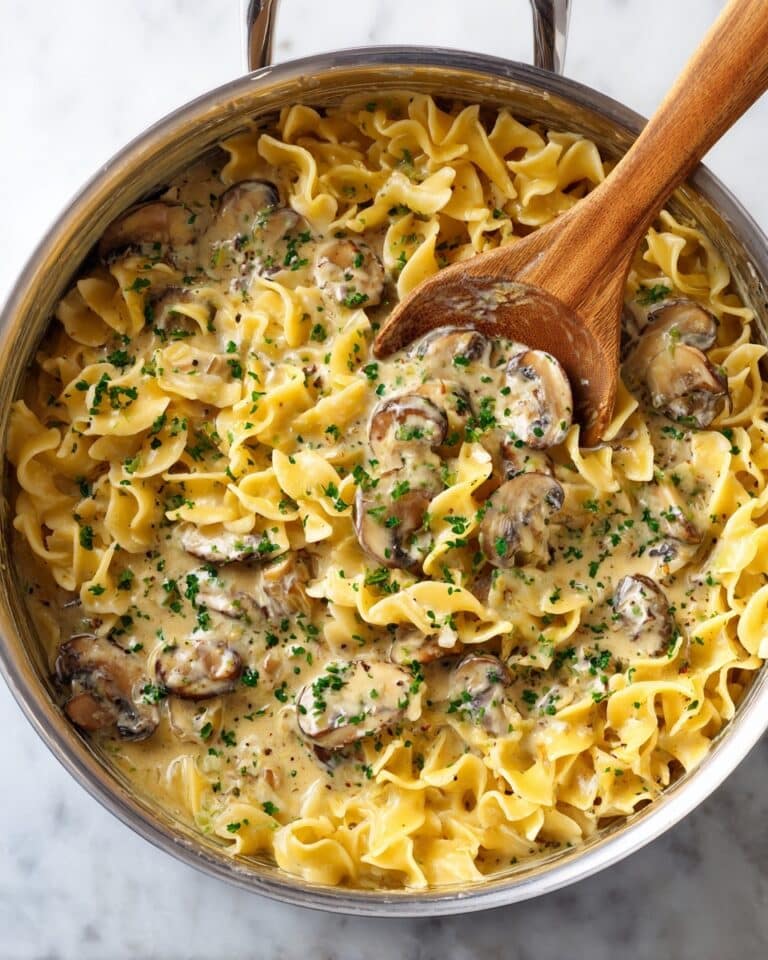 Instant Pot Beef Stroganoff Recipe