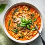 Spring Minestrone Soup Recipe